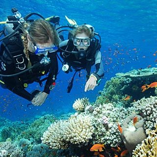 Scuba Diving